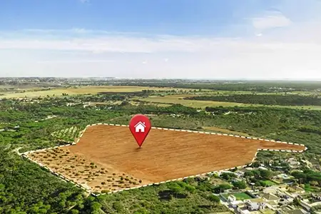 Forever Land