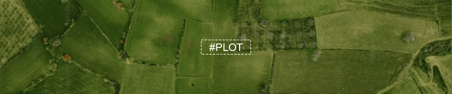 HoABL Dighi Plots